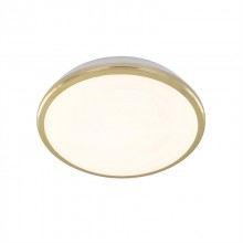 Накладной уличный светильник Citilux CL702162W