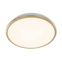 Накладной уличный светильник Citilux CL702222W