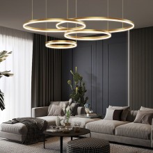 Подвесная люстра ImperiumLoft 219703-23