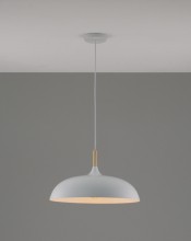 Подвесной светильник Moderli V11447-1P