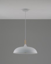 Подвесной светильник Moderli V11447-1P