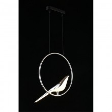 Потолочный детский светильник APLOYT APL.822.16.10