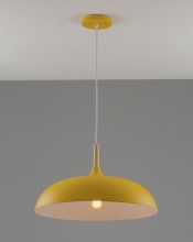 Потолочный детский светильник Moderli V11450-1P