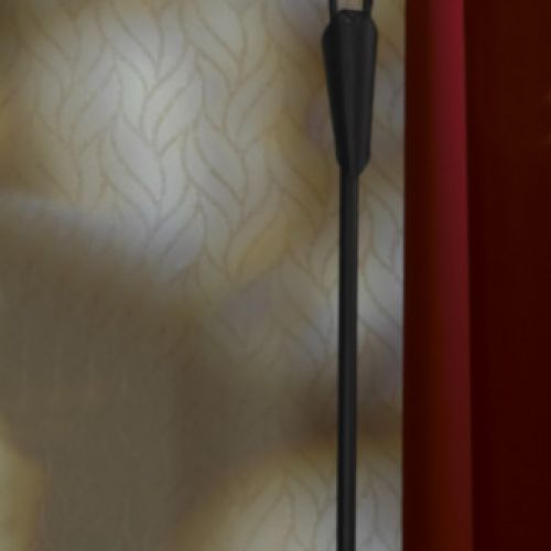 Торшер Lussole LSF-6295-02