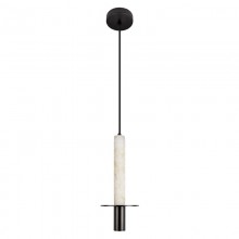 Подвесной светильник LOFT IT 10475A Black