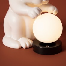 Настольный светильник FR5607TL-01W