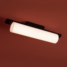 Потолочный светильник FR5625CL-L20B
