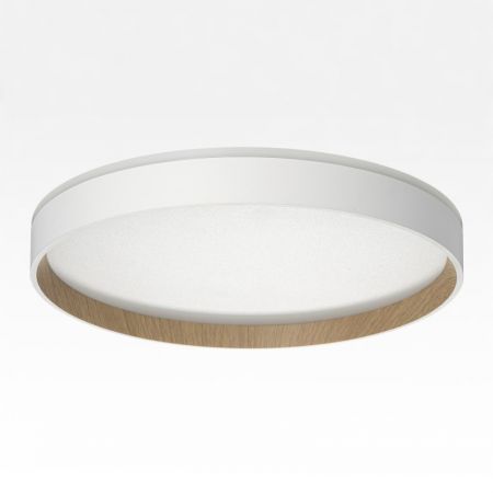 Накладной светильник Citilux CL750320R