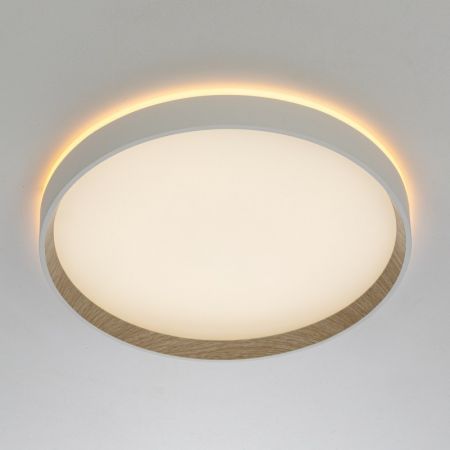 Накладной светильник Citilux CL750320R