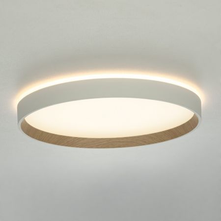 Накладной светильник Citilux CL750320R