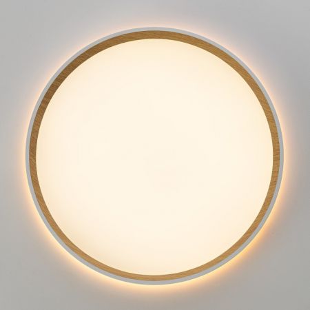 Накладной светильник Citilux CL750320R