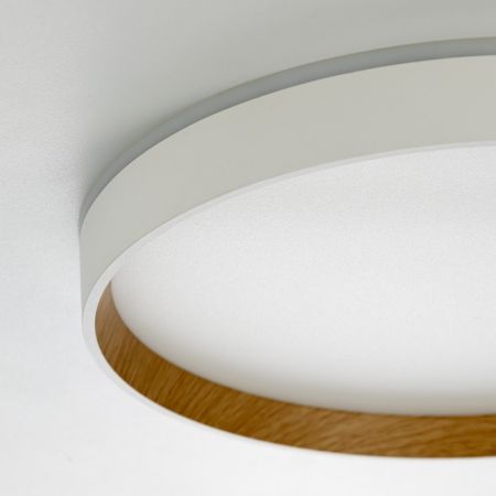 Накладной светильник Citilux CL750320R