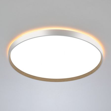 Накладной светильник Citilux CL750500R