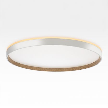 Накладной светильник Citilux CL750500R