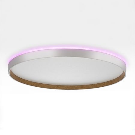 Накладной светильник Citilux CL750500R