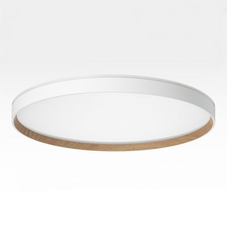 Накладной светильник Citilux CL750500R