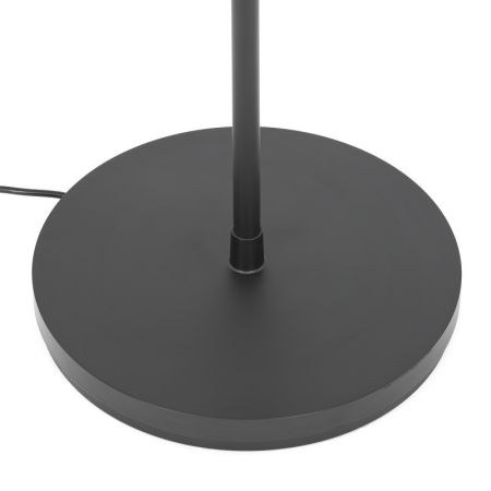 Торшер Citilux CL810031