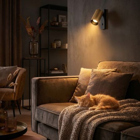 Спот Citilux CL512513R
