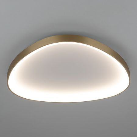 Накладной светильник Citilux CL756A162