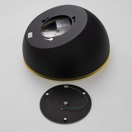 Накладной светильник Citilux CL736151