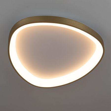 Накладной светильник Citilux CL756A142
