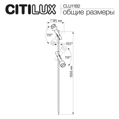 Садово-парковый светильник Citilux CLU11B2