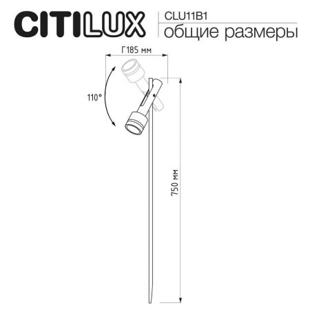 Садово-парковый светильник Citilux CLU11B1