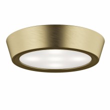 Влагозащищенный светильник Lightstar 214914