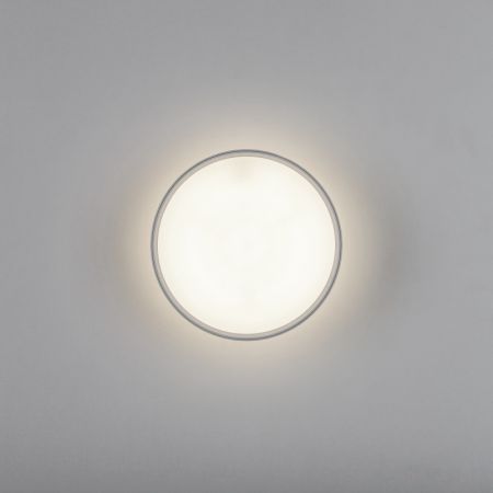 Накладной светильник Lightstar 215946