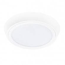 Влагозащищенный светильник Lightstar 216904