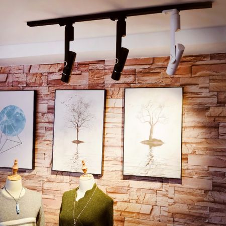 Накладной светильник ARTE Lamp A2511PL-1BK