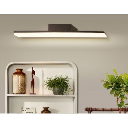 Светильник для картин Ambrella Light FW422