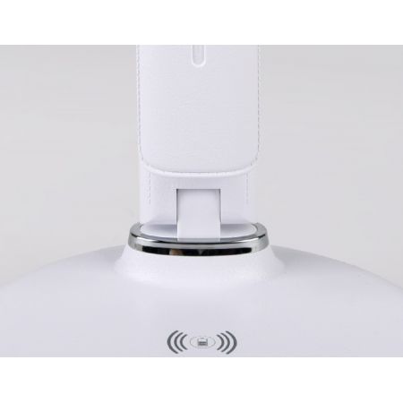 Настольная лампа Ambrella Light DE520