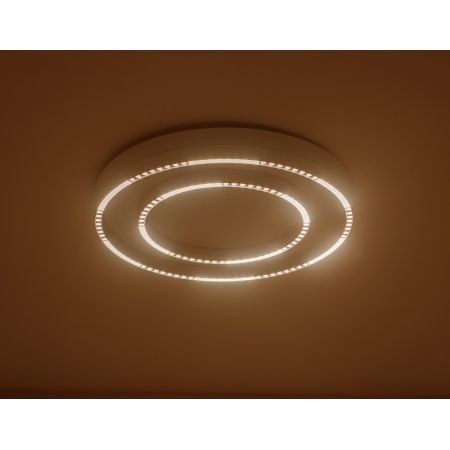 Накладной светильник Ambrella Light FL5821
