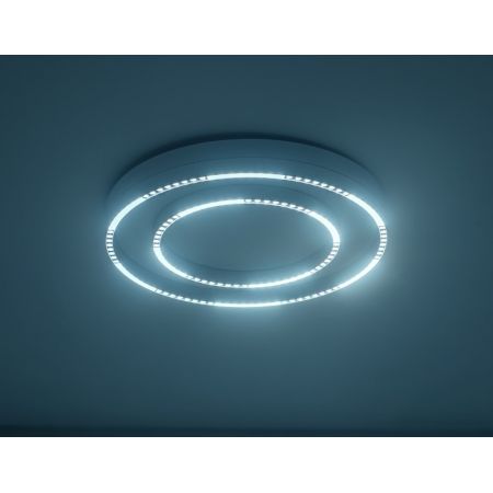Накладной светильник Ambrella Light FL5821