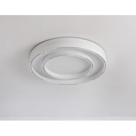 Накладной светильник Ambrella Light FL5821