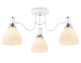 Накладной светильник Ambrella Light TR303302