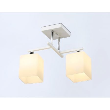 Накладной светильник Ambrella Light TR303111