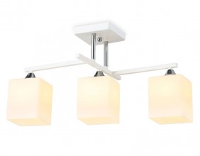 Накладной светильник Ambrella Light TR303113