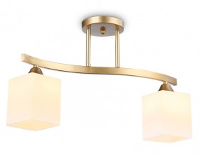 Накладной светильник Ambrella Light TR303119