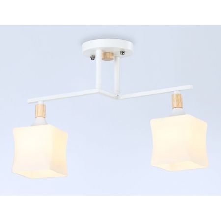 Накладной светильник Ambrella Light TR9484