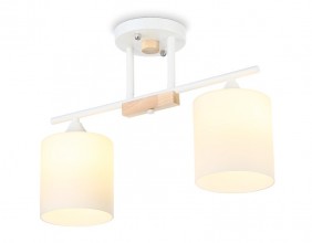 Накладной светильник Ambrella Light TR9541