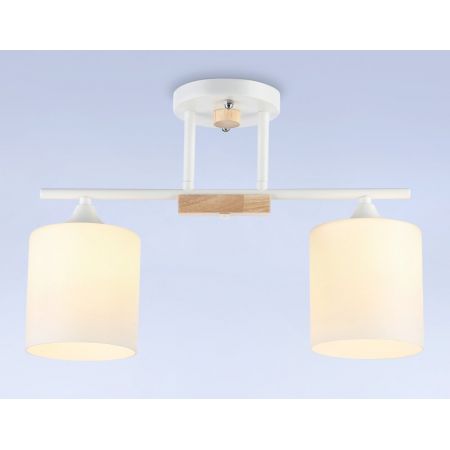 Накладной светильник Ambrella Light TR9541