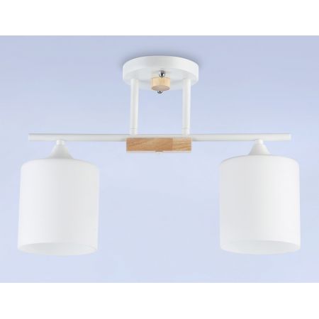 Накладной светильник Ambrella Light TR9541