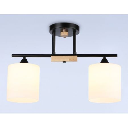 Накладной светильник Ambrella Light TR9543