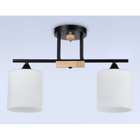 Накладной светильник Ambrella Light TR9543
