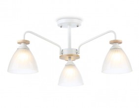 Накладной светильник Ambrella Light TR9562