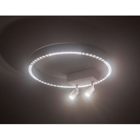 Накладной светильник Ambrella Light FL5805
