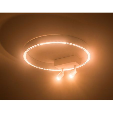 Накладной светильник Ambrella Light FL5805