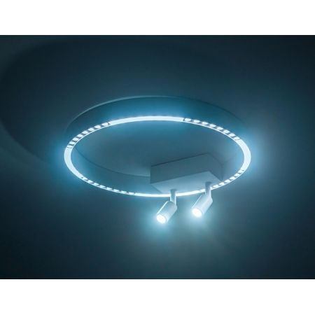 Накладной светильник Ambrella Light FL5805